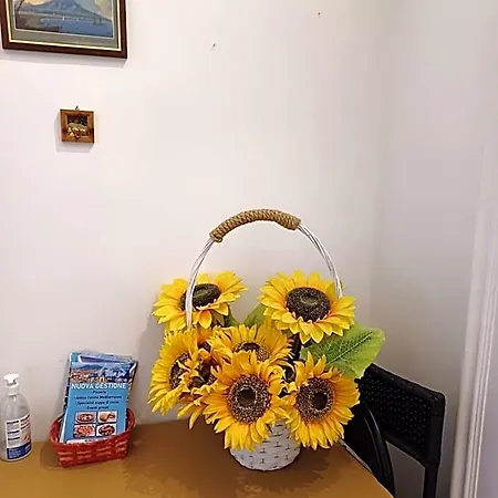 Bed and breakfast Metronapoli