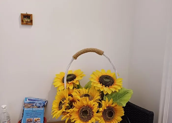 Metronapoli ベッド・アンド・ブレックファスト ナポリ