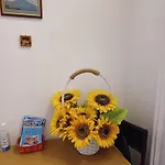 Metrònapoli Bed & Breakfast Napoli