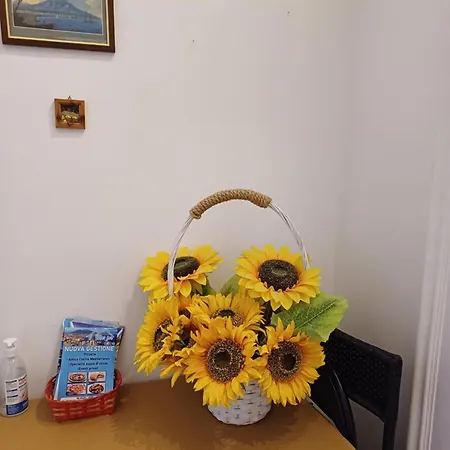 Metronapoli Bed & Breakfast Naples